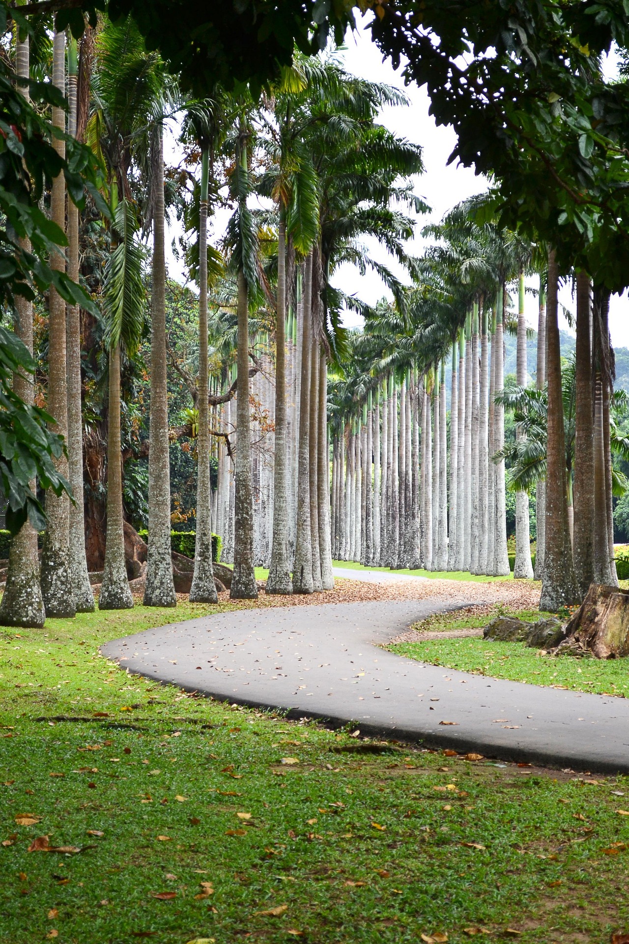 Royal Botanical Gardens